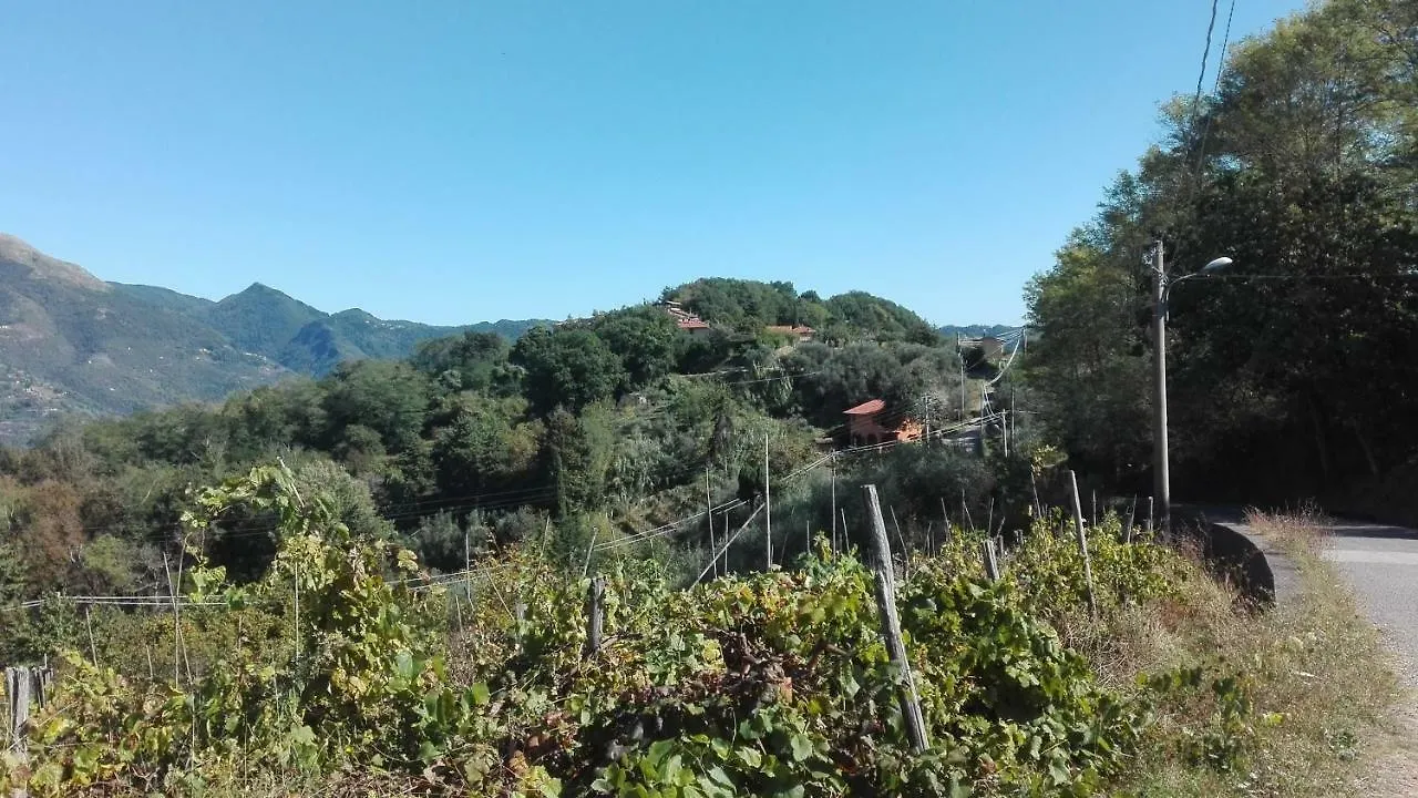 Casa Greta Villa Massarosa