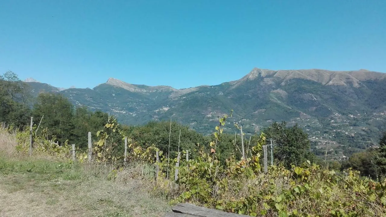 Holiday home Casa Greta Villa Massarosa